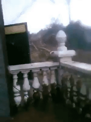 15266216081439125