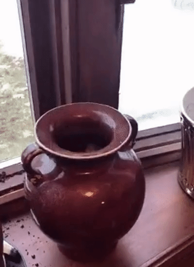 ezgif.com-video-to-gif (1)