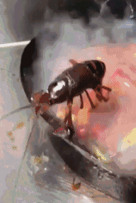 4ad9ebb8ly1fqlkrsu65zg205c07ynpe