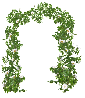 0_cad02_24d4e78_orig