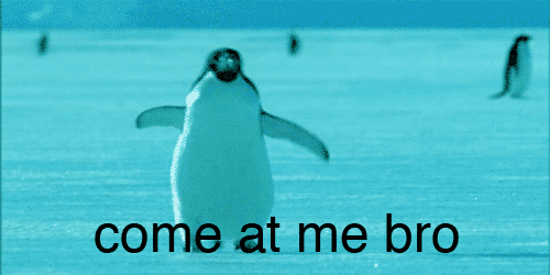 tumblr_lh4txi7rGp1qdqr1xo1_500
