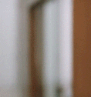 giphy01