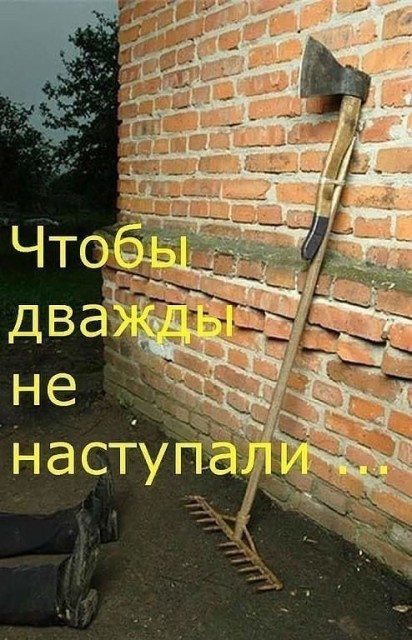 image8