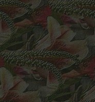 40_5