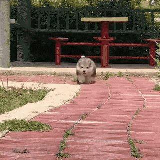 Сел на брюхо