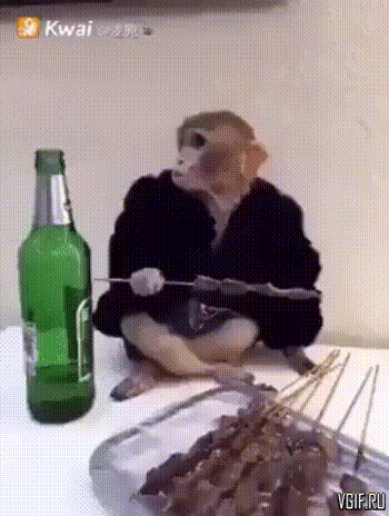 Обезьяна ест шашлык и запивает пивом