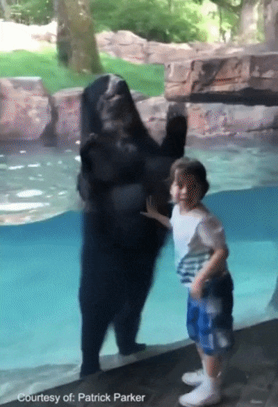 Кто не скачет...