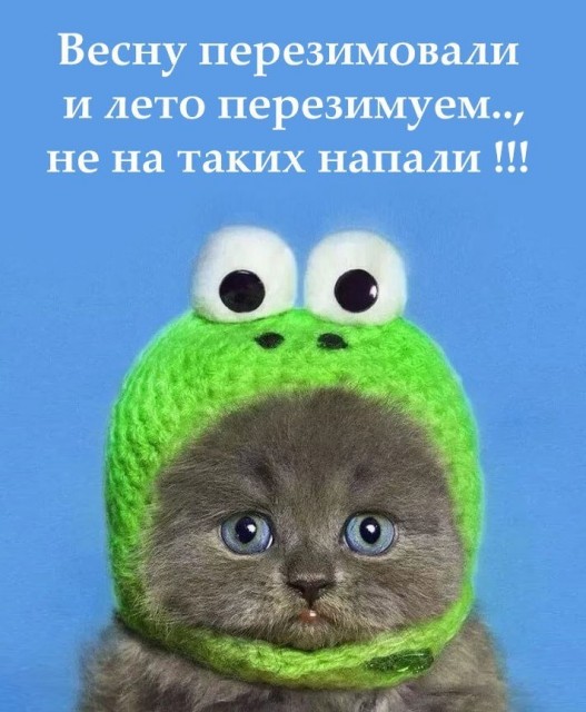погода