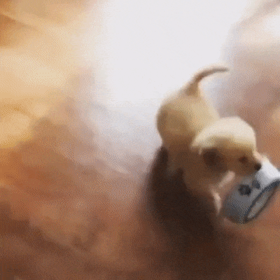 Как насчет пожрать?