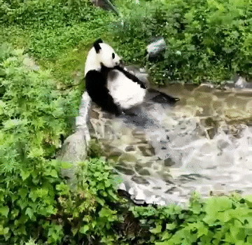 Блаженство