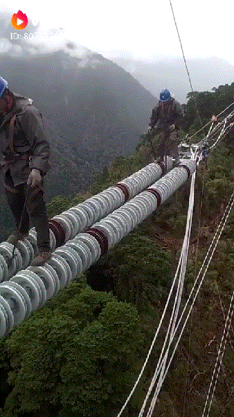 1530820912_b7c312351767