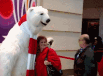 ac69e2edf3234d09972496e4469a9325