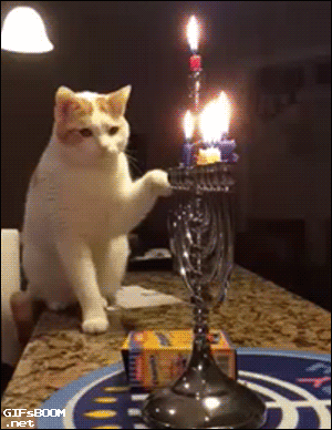 Кот с лампой