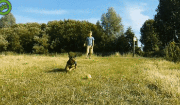 picasion.com_276f5fa615e442efbe7a51323e064c46