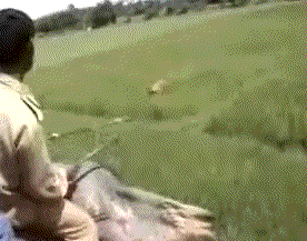 6afa1617cc7749988c690046d7a8f401