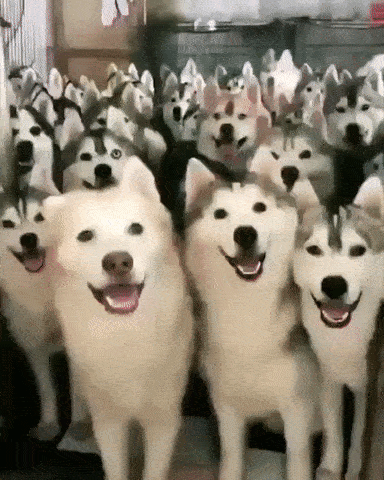 tmp_cleverpub_b6c9a2de15f3066c432c461f645eec62