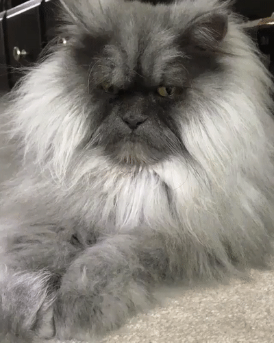 4d7cb24e267320e371f2358461e3c1f3