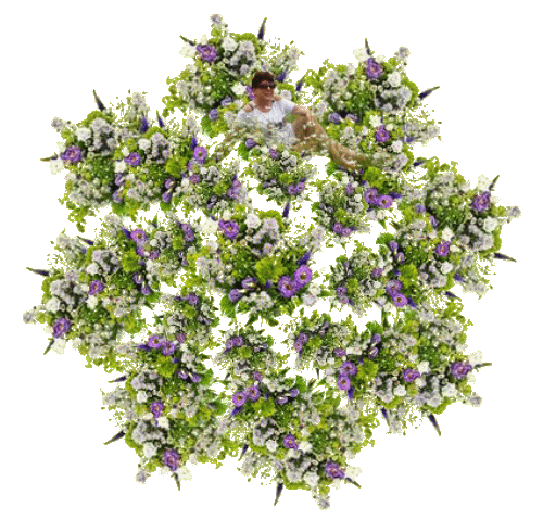 aa11