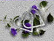 8ш