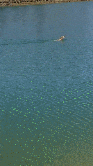 tmp_cleverpub_27fb6409dd93d1e635ea5fbeed6adc21