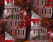 осень