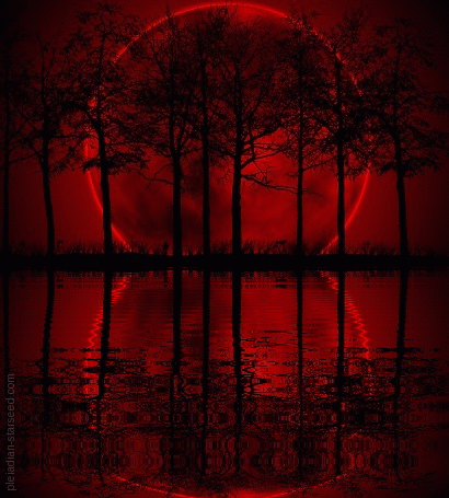 ae6665383c128aaae99833e0d1191c426e98b020_00