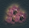 fon_9_3_arnusha