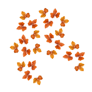 088