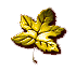 fon_4_3_arnusha