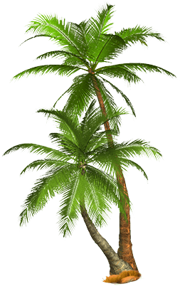 fa55858bad1d6fcf6c0e0cd5e8015792