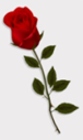 fon_5_4_arnusha