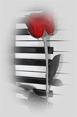 fon_4_4_arnusha