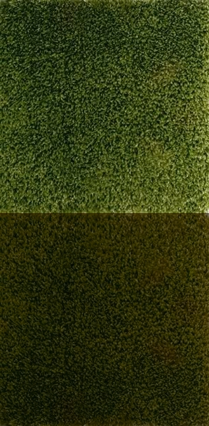 Grass-1