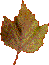 fon_4_1_arnusha