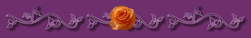 _4_1_arnusha