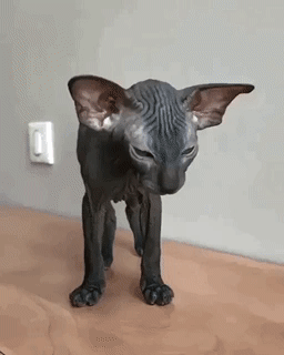 aeb02edaff868d0d15cc8df434fdd6ab