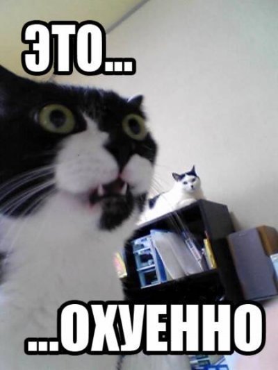 13470222956161[2]