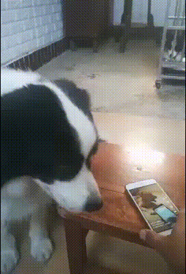 1538502767128452655