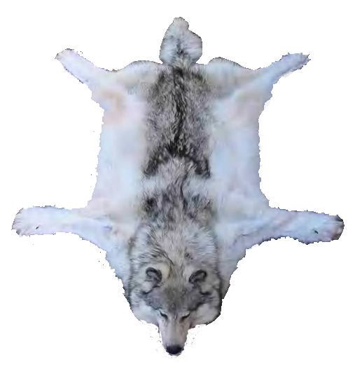 _yapfiles.ru