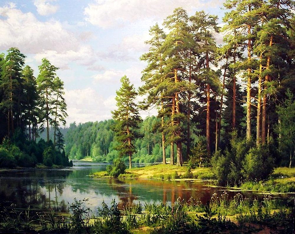 Лесные пейзажи Сергея Басова