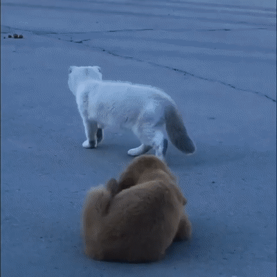 Что то ухо зачесалось...