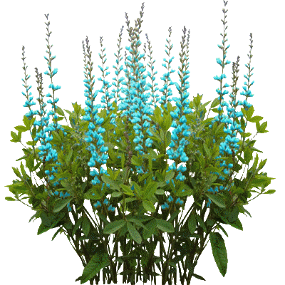 0_11ceac_231c50be_orig