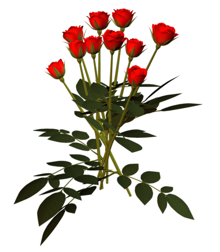 0_70ad5_71f0ba19_L_zps7b398e16