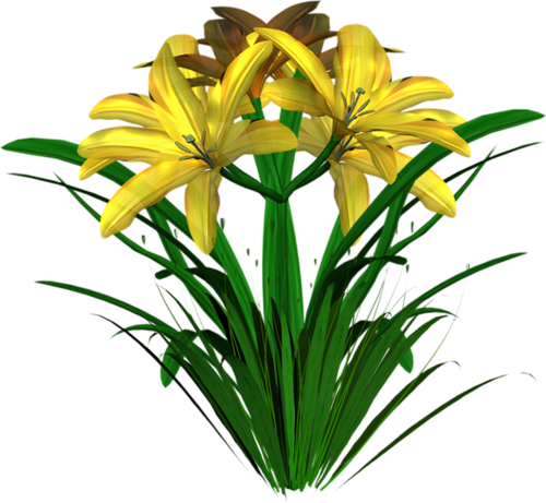 0_71142_b4252dfa_L_zps9ec8437d