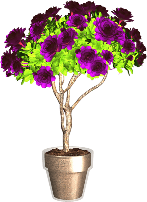 ExoticTrees