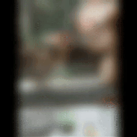 gifs_20 (1)