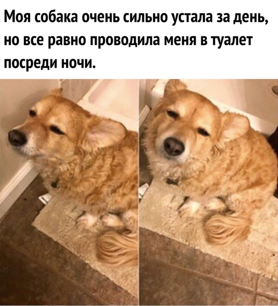12315529