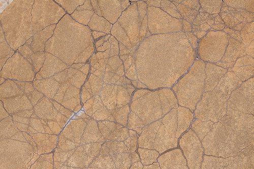 3732929269_3031c51da3