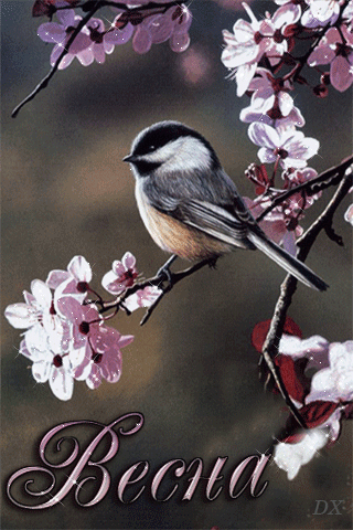 0_10f4f7_ab3c5828_orig