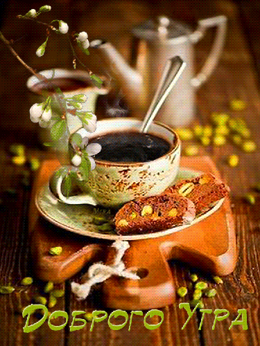 8abdb545a3136b5bd0b25a231a4f28e1